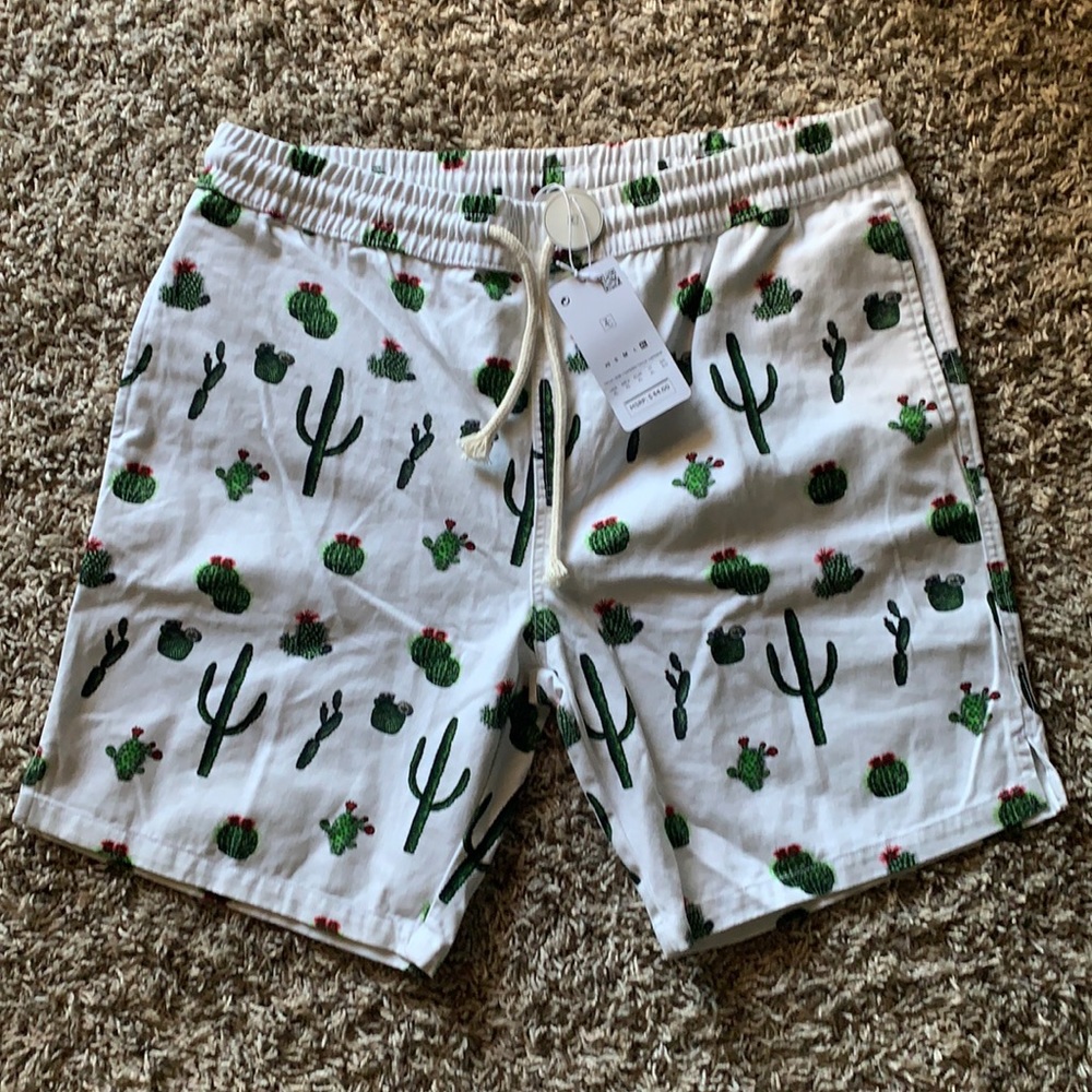 NWT Zipcode shorts